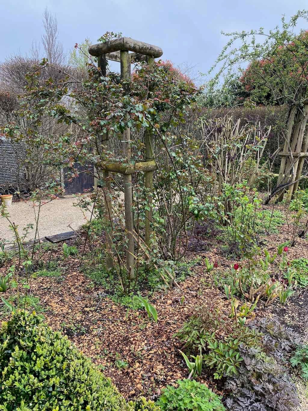 Red Cow Farm Garden Image -632f7ebeb56e7